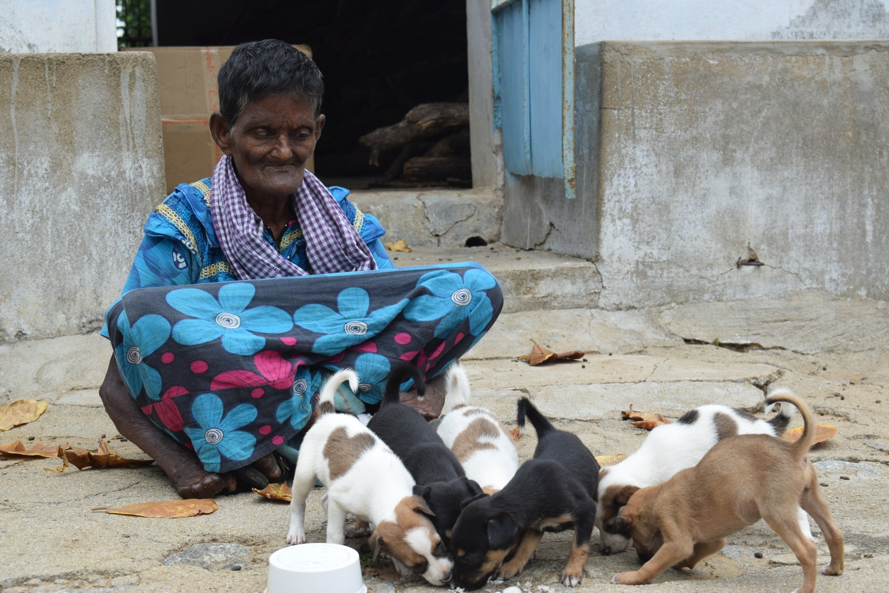 From the Shanthigramam community photo archive, photograph 6